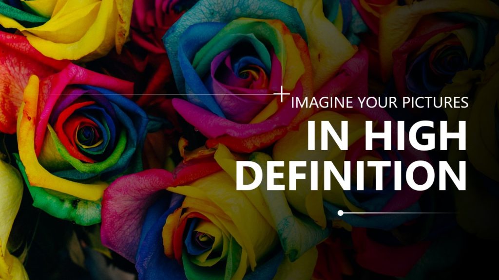 A pitch deck slide with brightly colored rainbow roses are in the background. Overlaid text on the right side reads, "IMAGINE YOUR PICTURES IN HIGH DEFINITION WITH XSIGHT." The vibrant colors of the roses range from blue and green to pink, yellow, and red, creating a visually striking image.