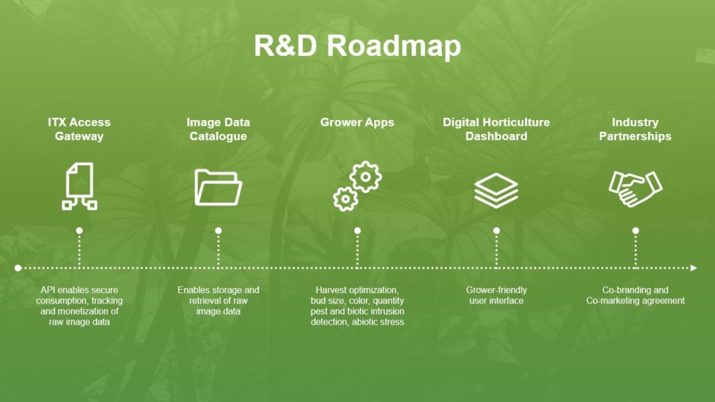 A pitch deck slide with a green infographic titled "R&D Roadmap" with five sections: ITX Access Gateway, Image Data Catalogue, Grower Apps, Digital Horticulture Dashboard, and Industry Partnerships. Each section has an icon and brief description beneath it, highlighting NewHarbor's role in innovation.