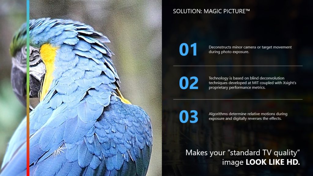 A pitch deck slide of a blue and yellow parrot on the left, with a comparison line splitting the image. The left side is pixelated, and the right side is high-resolution. On the right, three points explain Xsight's 'Magic Picture™' technology that improves image quality, with the tagline: "Makes your 'standard TV quality' image LOOK LIKE HD.
