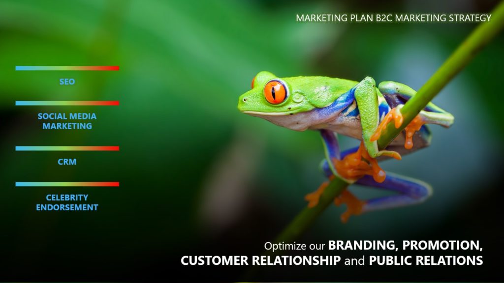 A pitch deck slide with a vibrant tree frog sits on a green stem. Text on the left reads "SEO", "Social Media Marketing", "CRM", and "Celebrity Endorsement" with corresponding color bars. The top right text reads "Xsight Marketing Plan B2C Strategy". Bottom text reads "Optimize our branding, promotion, customer relationship, and public relations".
